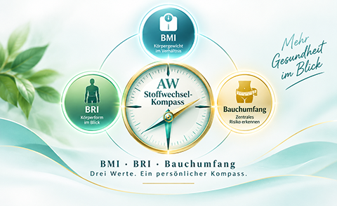 AW Stoffwechsel-Kompass – BMI, BRI und Bauchumfang