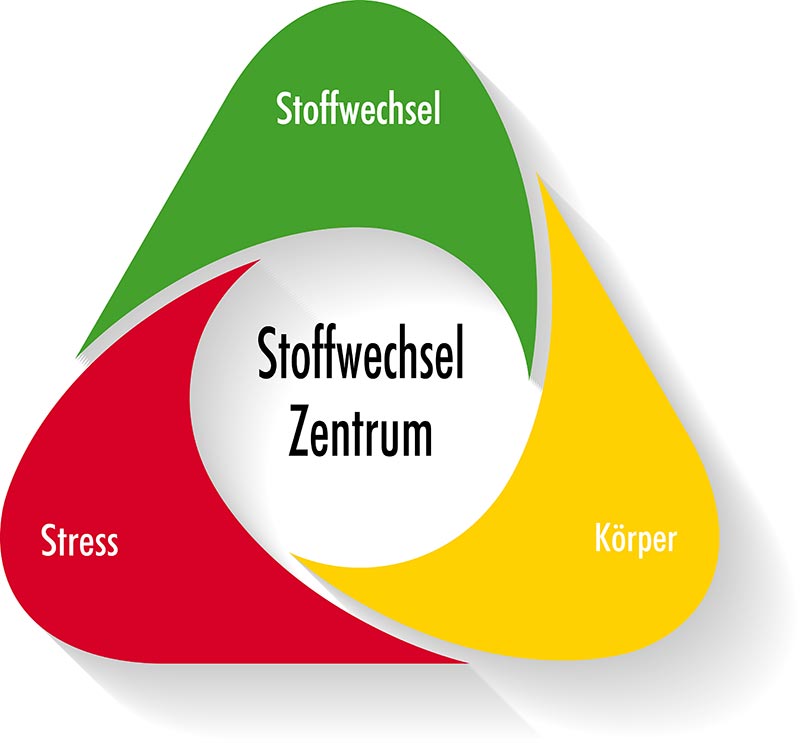 metabolic-power_stoffwechsel-Andrea-Wieland-Apothekerin-und-Ernaehrungsberaterin-Schwebheim Andrea Wieland Metabolic-Power